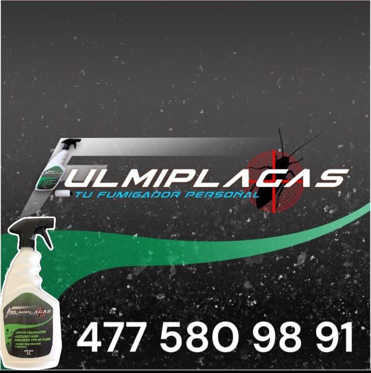 Fulmiplagas
